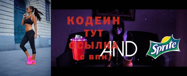 apvp Балахна