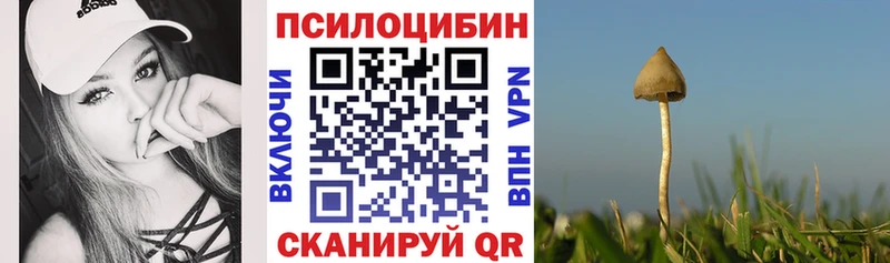 Галлюциногенные грибы Psilocybe  ОМГ ОМГ зеркало  Мурманск 